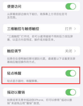 路桥苹果授权维修站分享iPhone轻点无法唤醒怎么办 