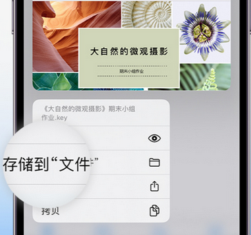 路桥apple维修中心分享iPhone文件应用中存储和找到下载文件