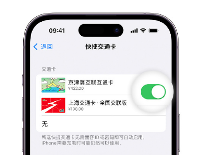 路桥apple维修点分享iPhone上更换Apple Pay快捷交通卡手绘卡面 