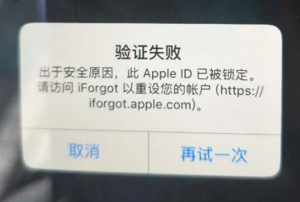 路桥iPhone维修分享iPhone上正常登录或使用AppleID怎么办 