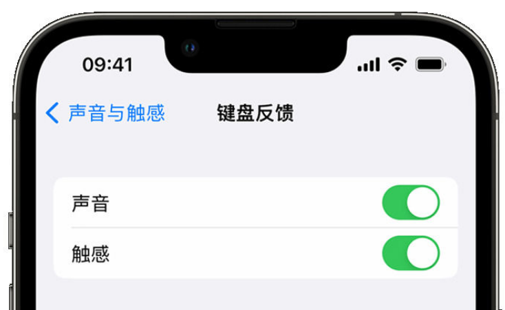 路桥苹果手机维修分享iPhone 14触感键盘使用方法 