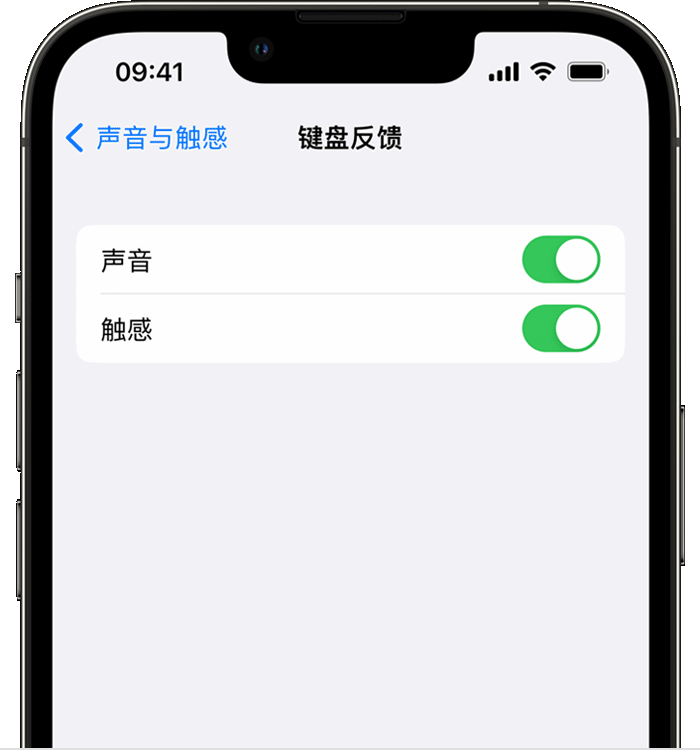 路桥苹果14维修店分享如何在 iPhone 14 机型中使用触感键盘 