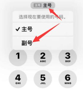 路桥苹果14维修店分享iPhone 14 Pro Max使用副卡打电话的方法 