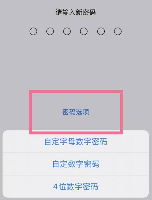 路桥苹果14维修分享iPhone 14plus设置密码的方法 