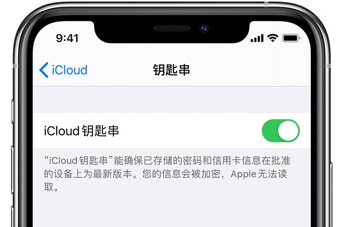 路桥苹果手机维修分享在 iPhone 上开启 iCloud 钥匙串之后会储存哪些信息 